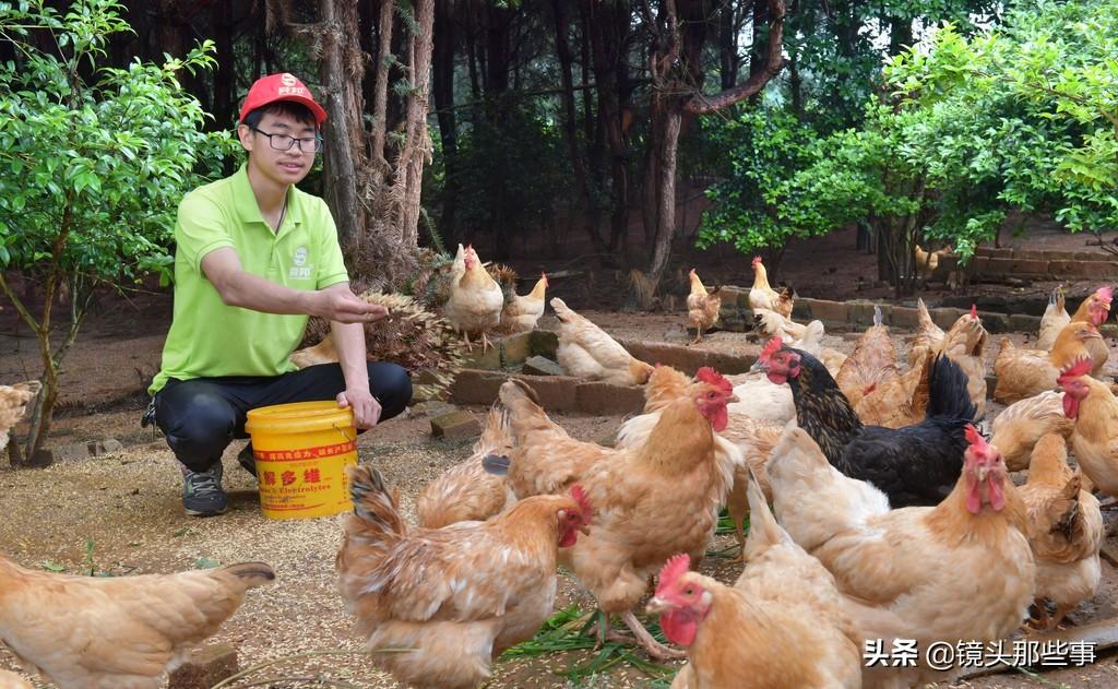 湖南，热情活力涌动，潜力无限待发