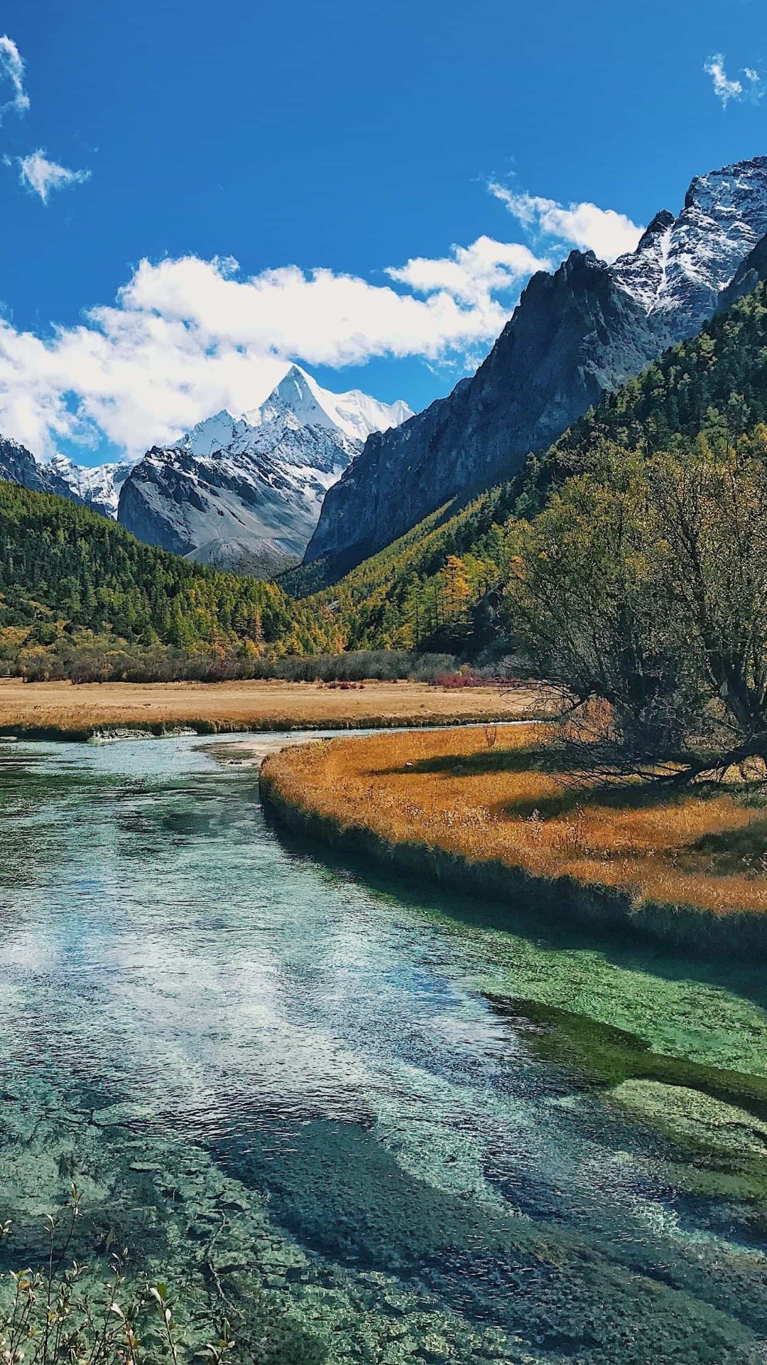 揭秘自然奥秘，最新美景探索之旅