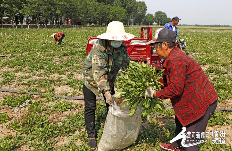 襄汾最新资讯概览，全方位报道最新动态